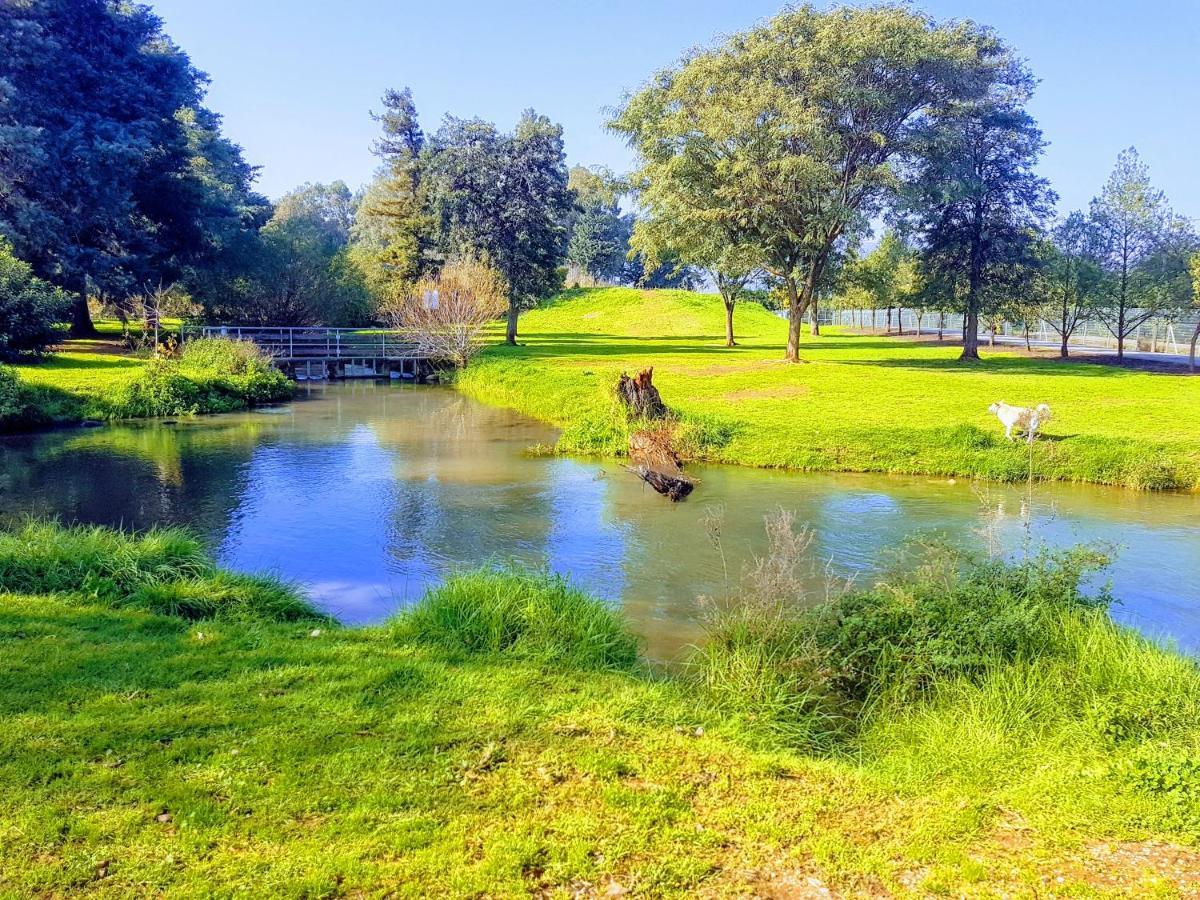 Huge & Private Villa In Kibbutz دفنة المظهر الخارجي الصورة