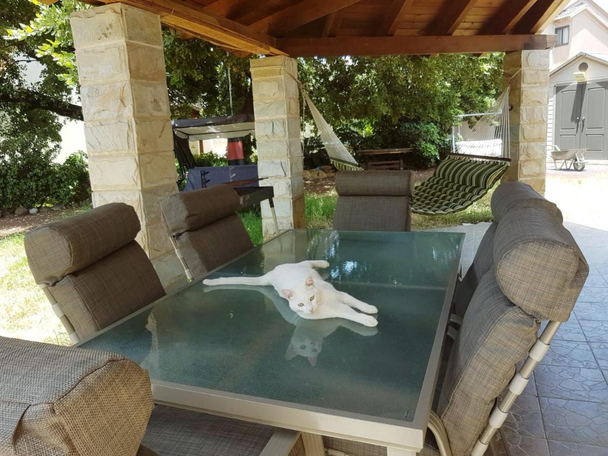 Huge & Private Villa In Kibbutz دفنة المظهر الخارجي الصورة